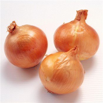 Verse biologische 20kg verpakking gele ui